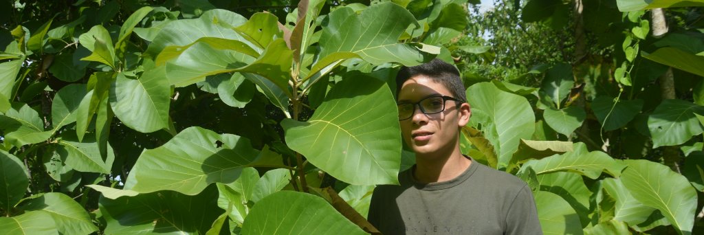 TesilloB's profile banner image