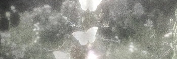 rona____s2's profile banner image