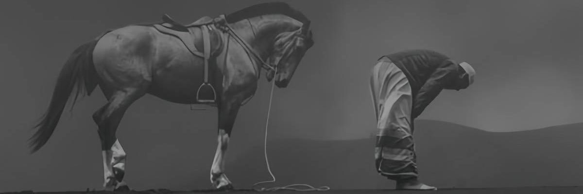 M_Althe's profile banner image
