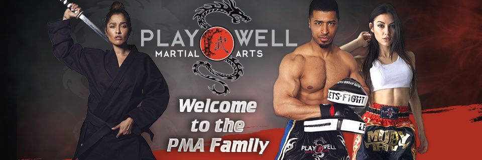 playwell1's profile banner image