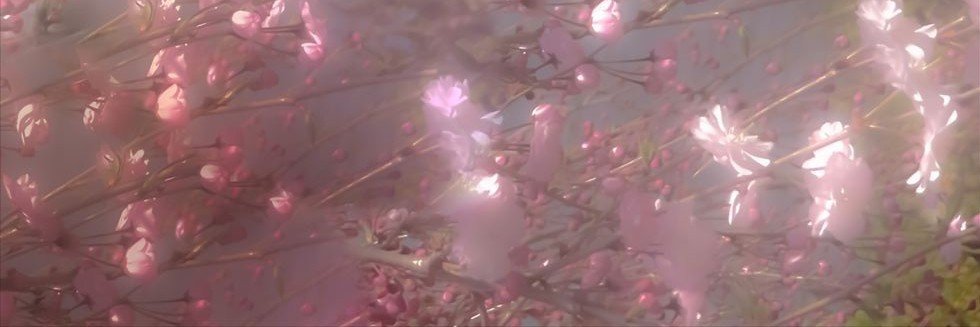 muis2u's profile banner image