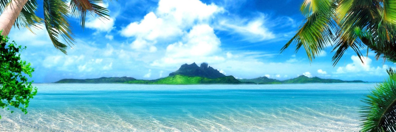 lavinchy's profile banner image