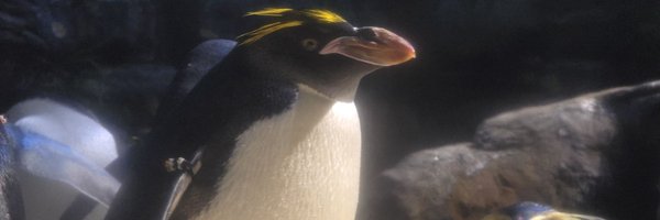 StevePrince87 Profile Banner