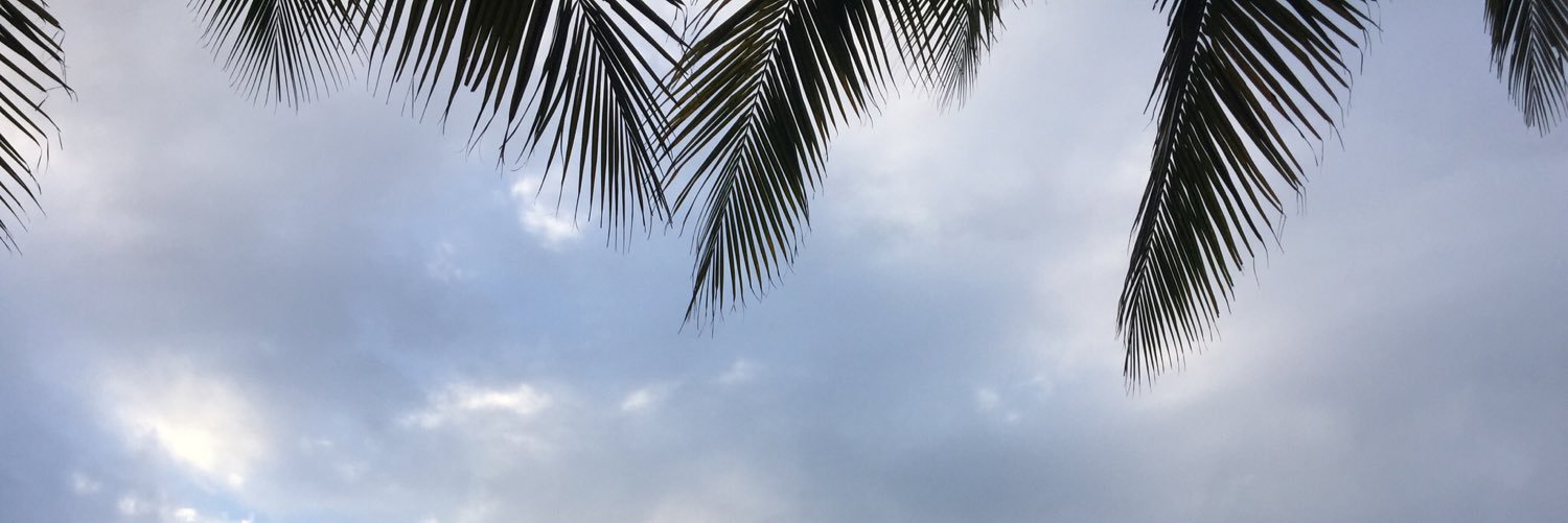 Naticadena's profile banner image
