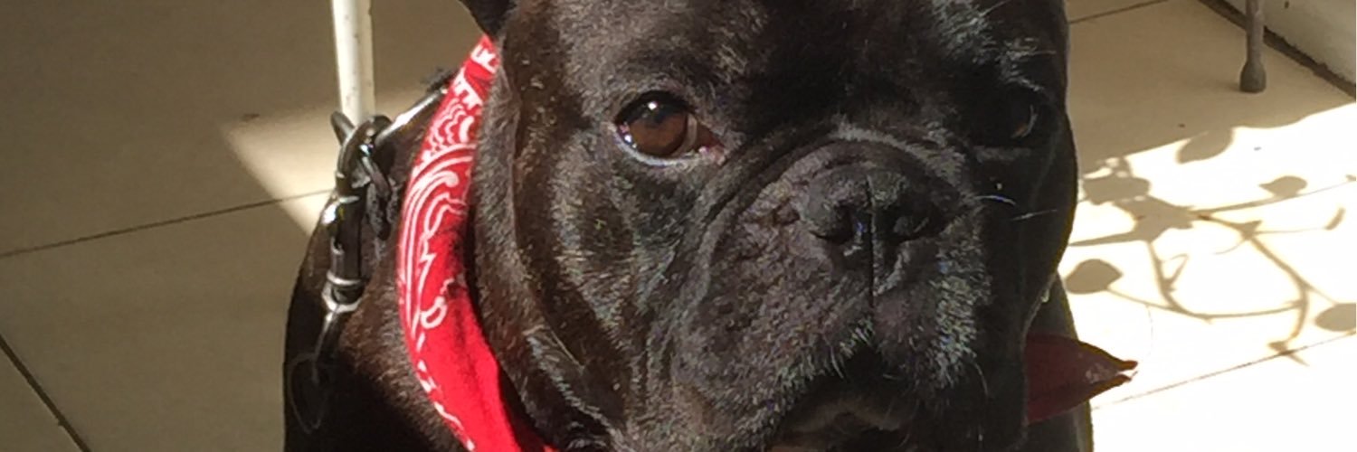 mario_mo's profile banner image