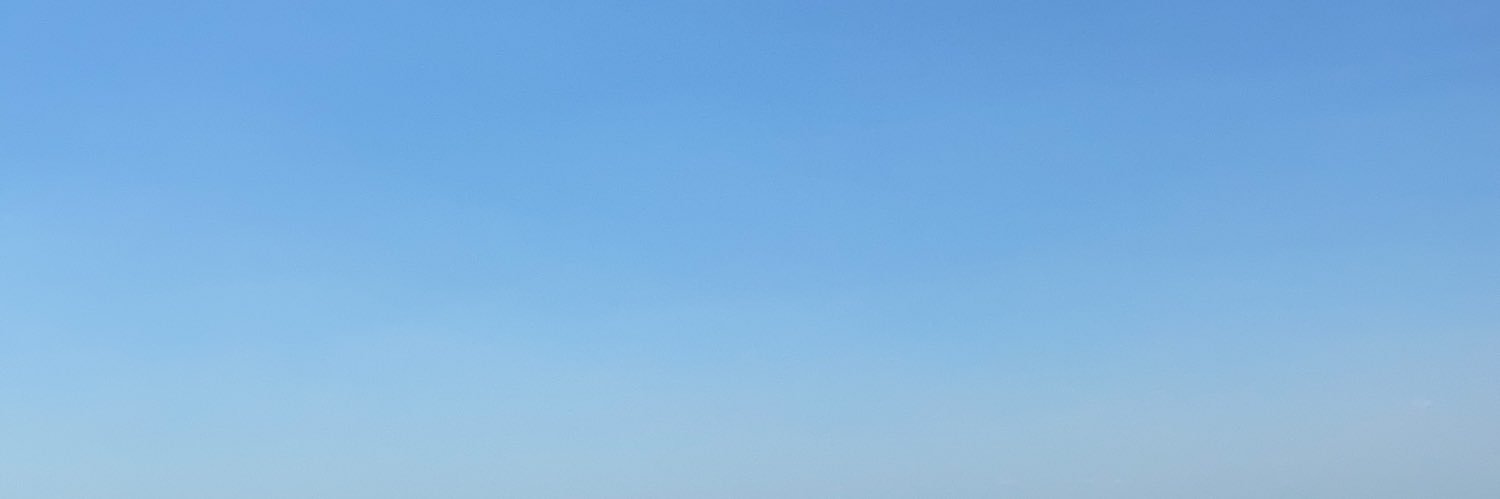 Hannah Shaw banner