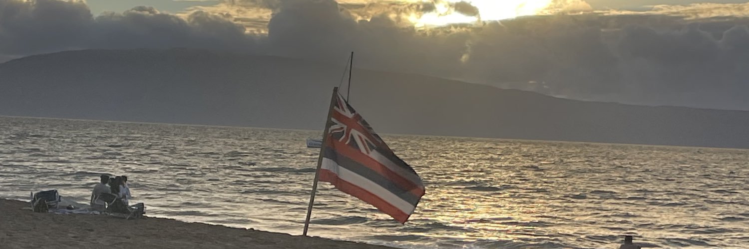 MarinaTHardy's profile banner image