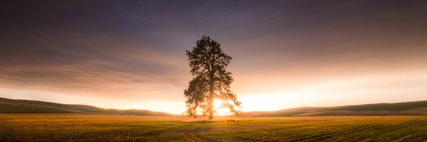 beanstoast Profile Banner