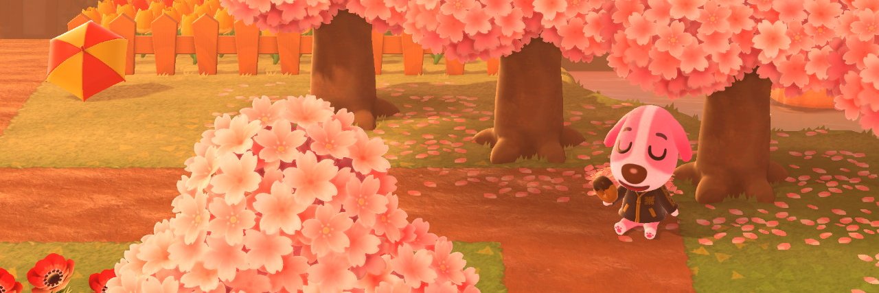 Lokno's profile banner image