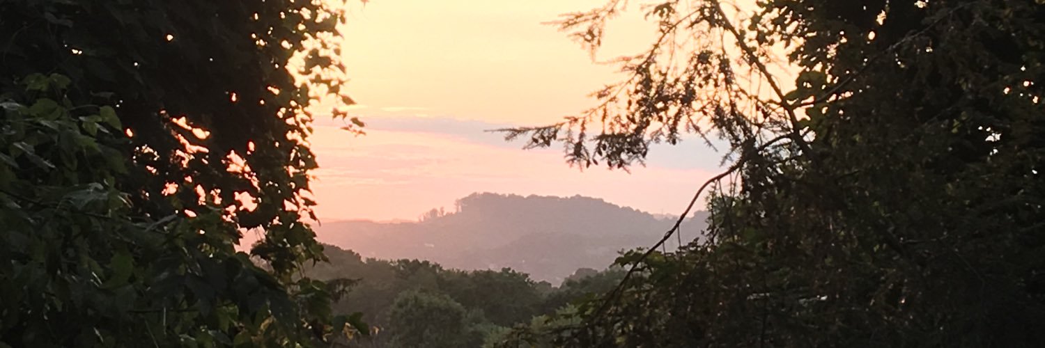 DebCobleWV's profile banner image