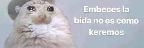eduprena's profile banner image