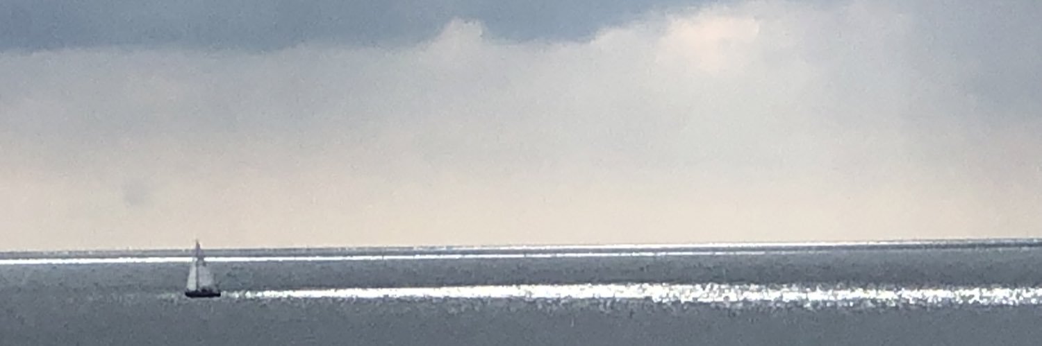 valerie pearce banner