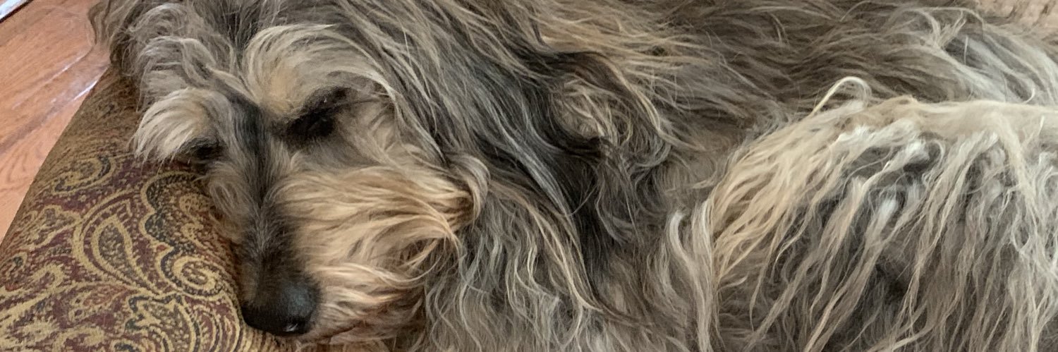 guilddv52's profile banner image