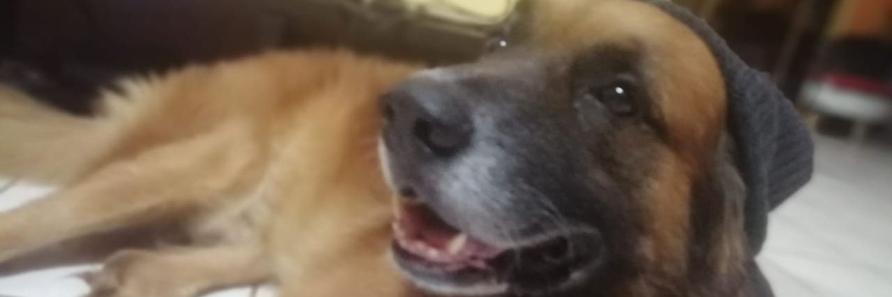 siraiden9's profile banner image