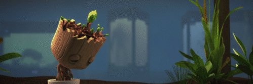 Tracey2968's profile banner image