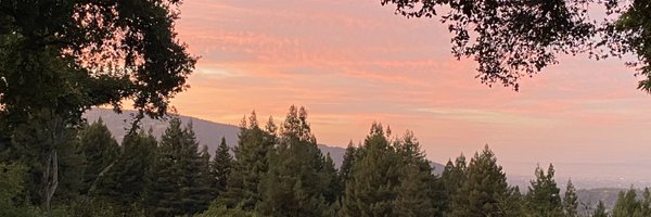 echen408 Profile Banner