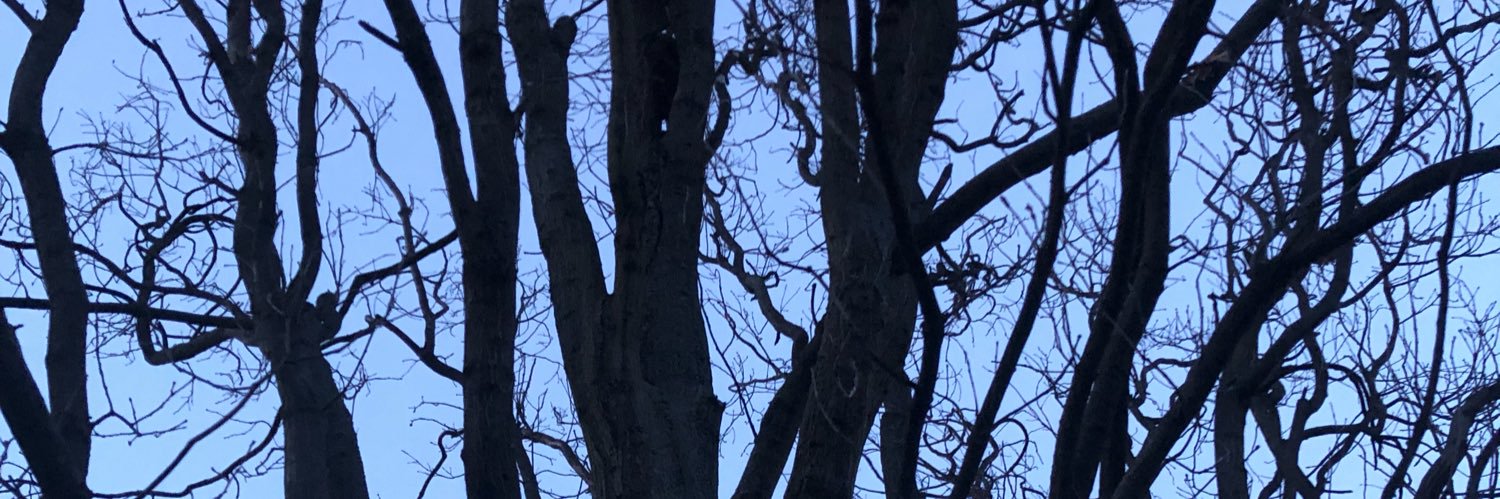CharlesA92's profile banner image