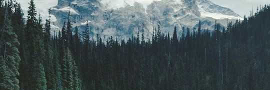 _scxl's profile banner image