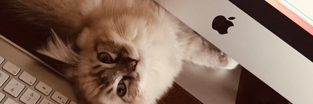 benisntfunny's profile banner image