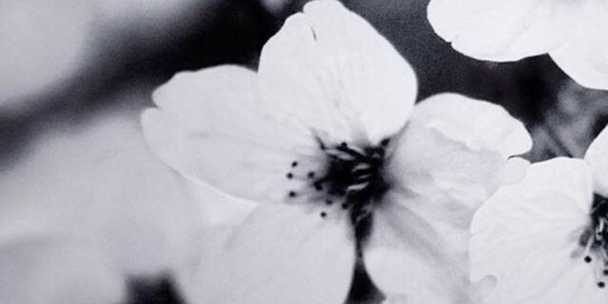 gceed75792355's profile banner image