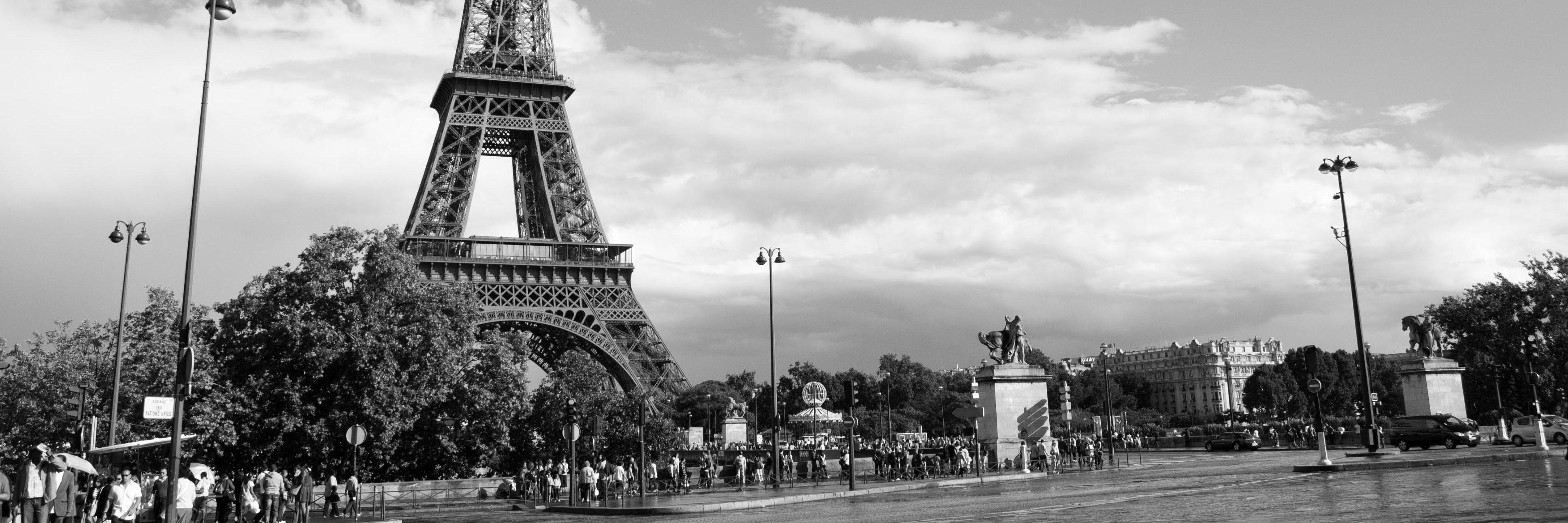 stephy_gallo's profile banner image