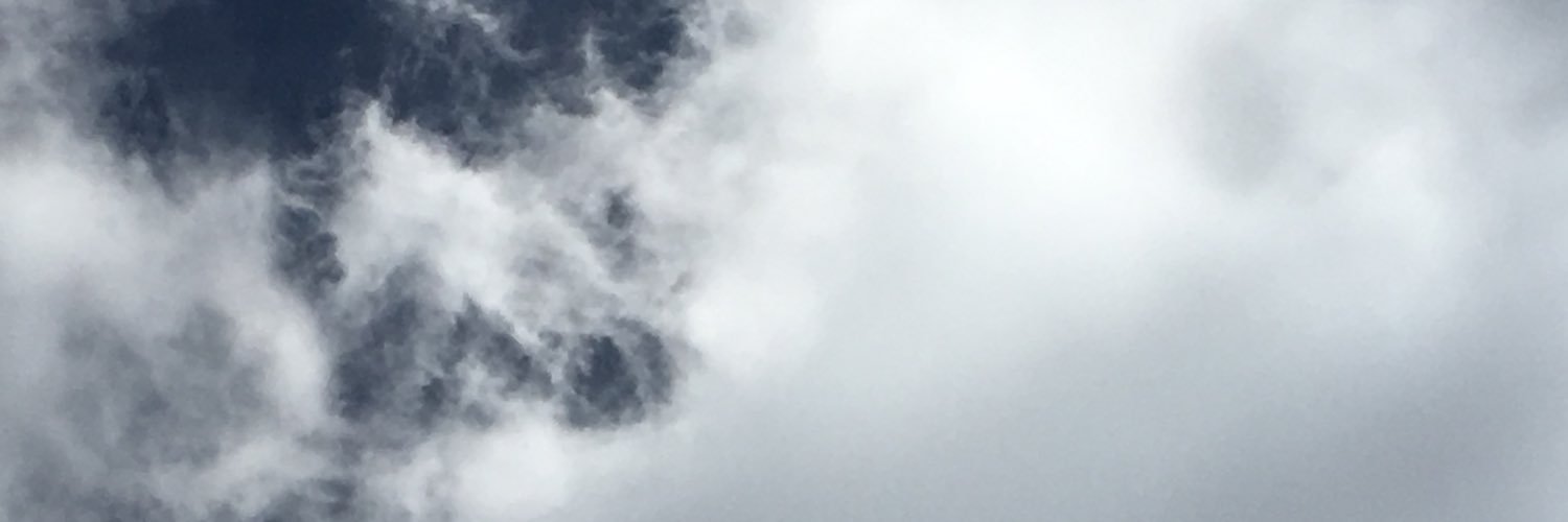 phlower's profile banner image