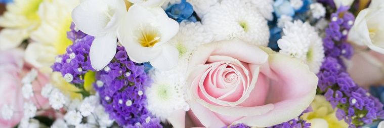 R_Leeee's profile banner image