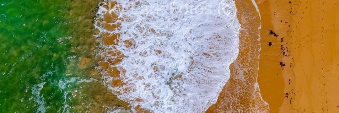 Gavin Doherty banner