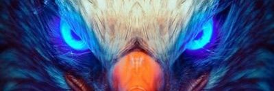 Moysodlr's profile banner image