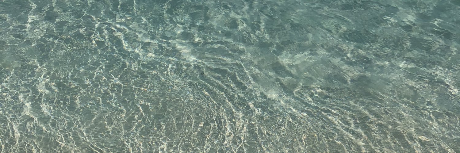 sofquintanilla's profile banner image