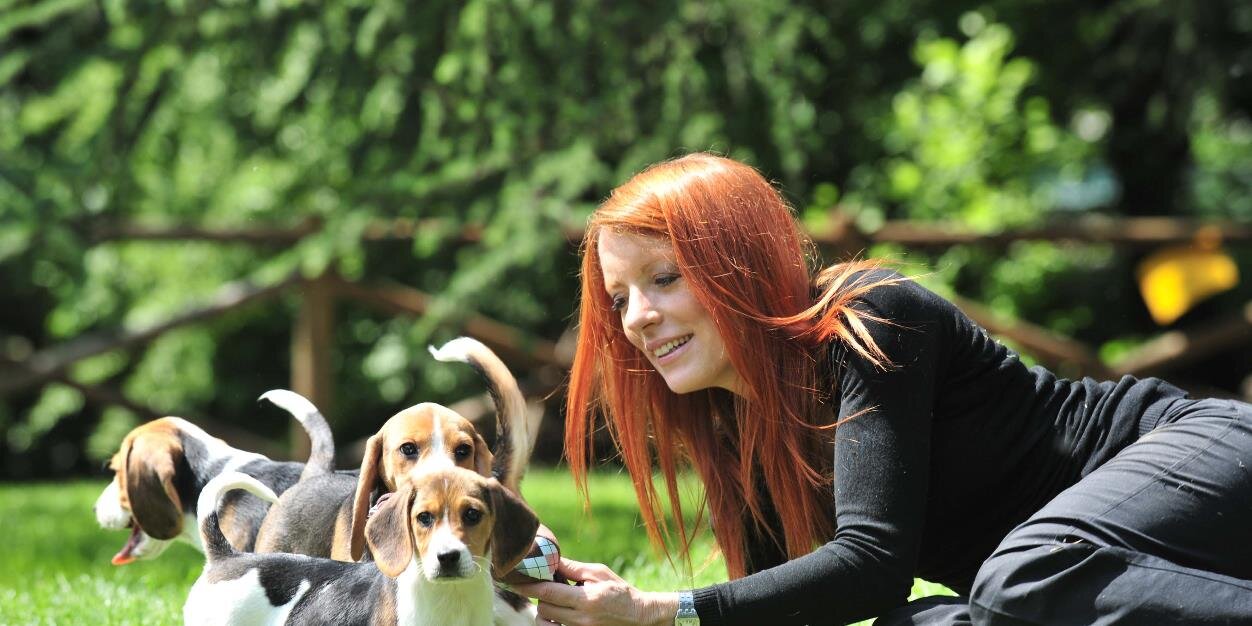 Michela V. Brambilla banner