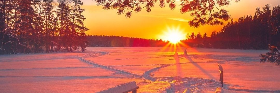 Niklynoo's profile banner image