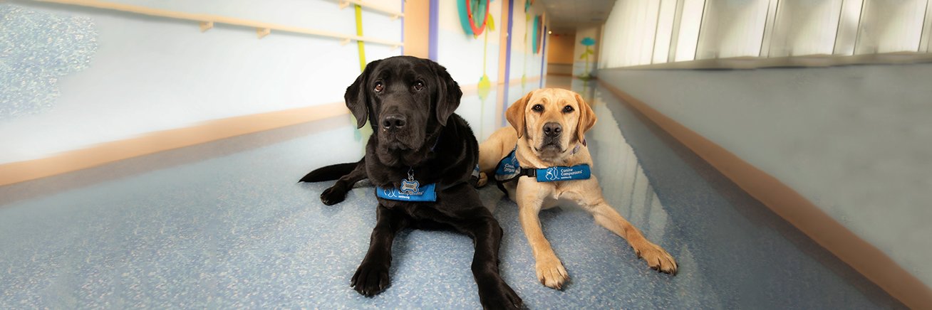 Children's at VUMC banner