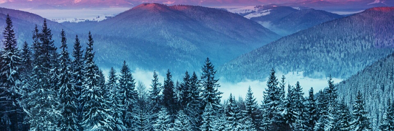 abifarwell's profile banner image