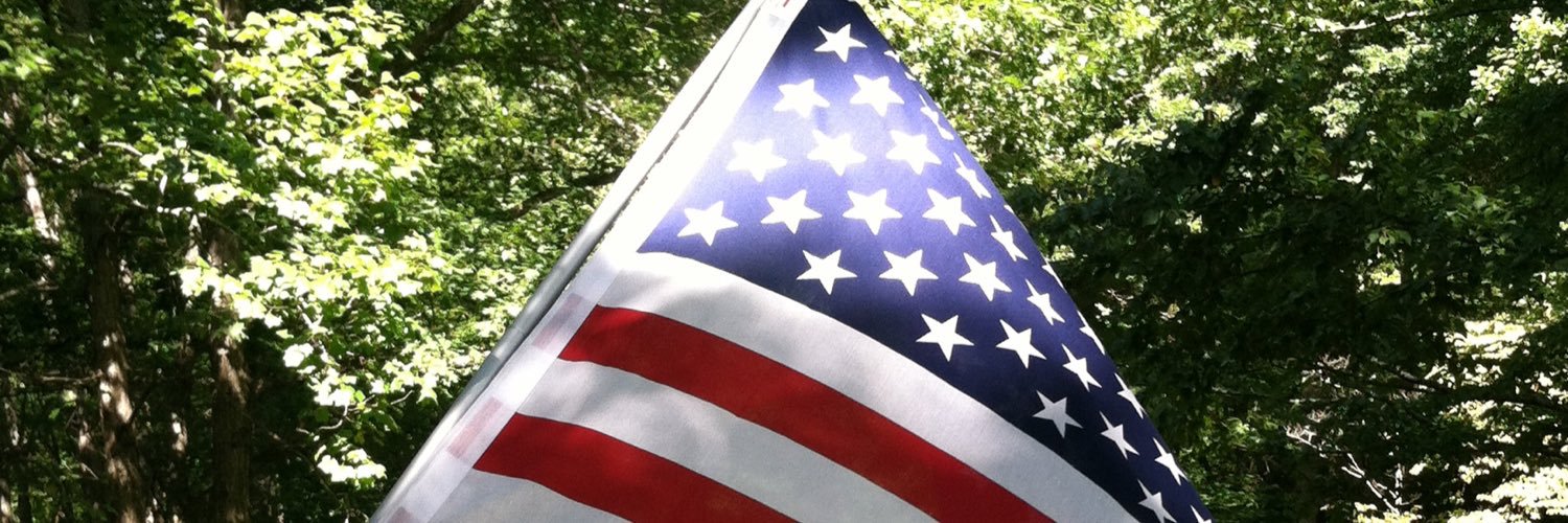 MarySWheeler's profile banner image