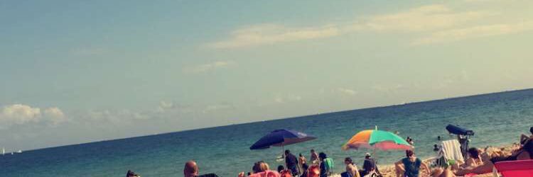 Noel banner
