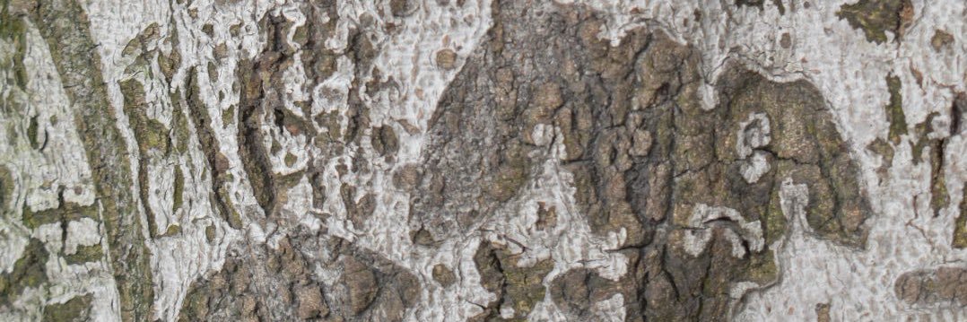 QsIMustAsk's profile banner image