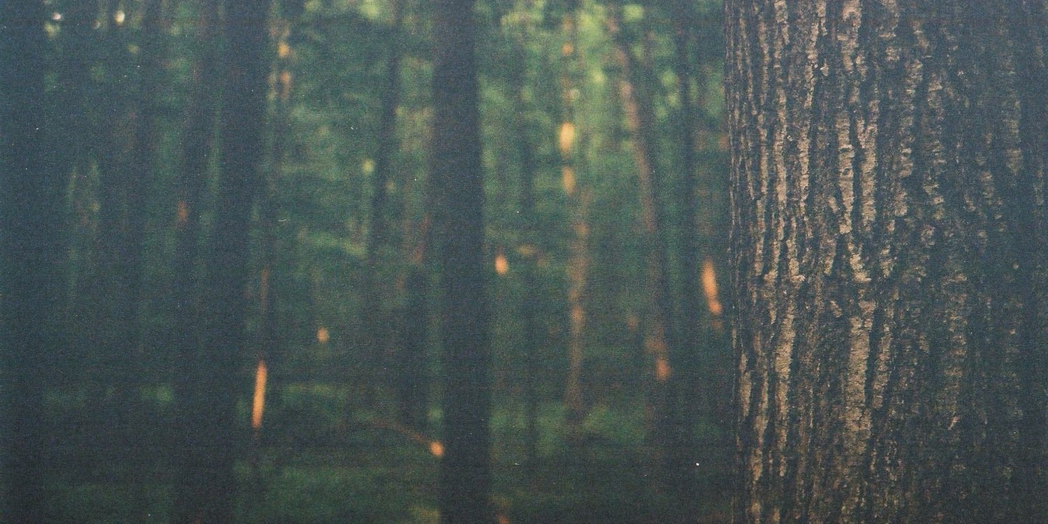 Matt Mitchell banner