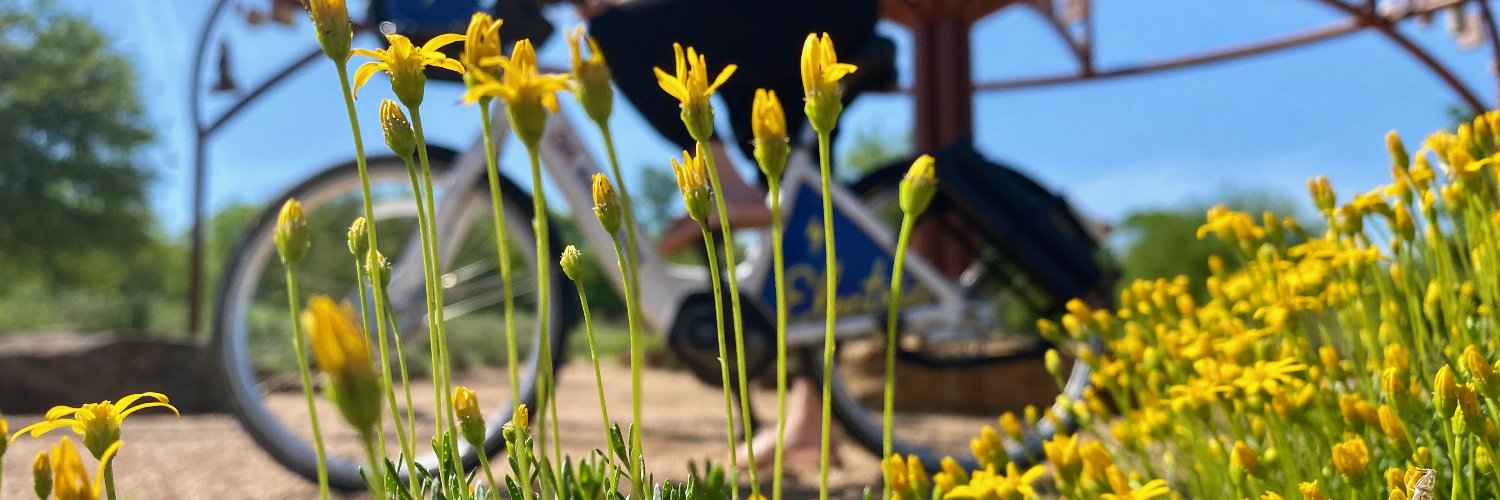 SABikeShare's profile banner image