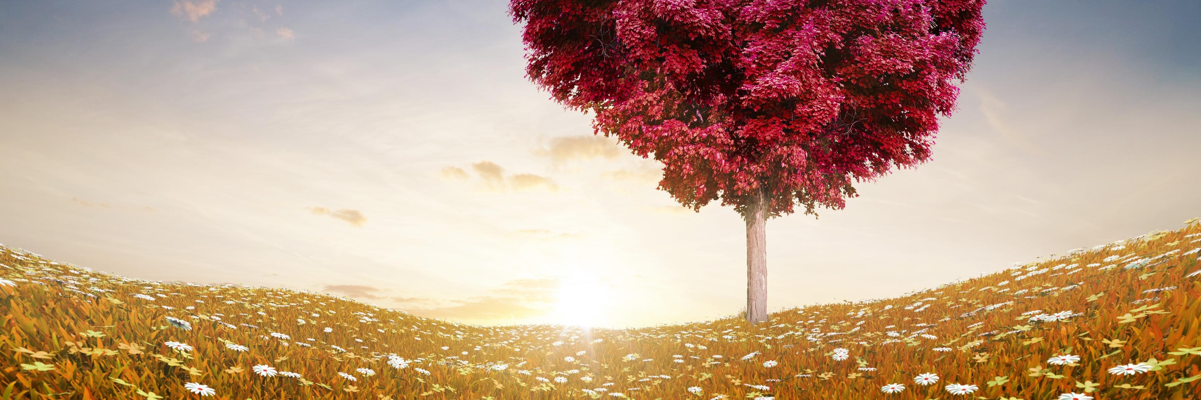 furansessu's profile banner image