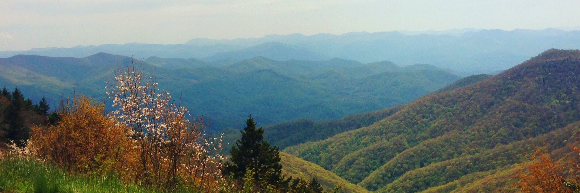 mrsgraceyork's profile banner image