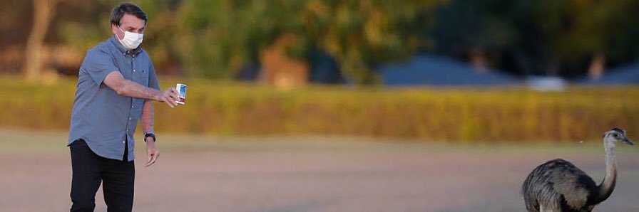 Isa_Calderaro's profile banner image
