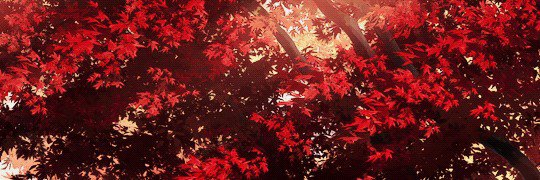 antonzxs's profile banner image