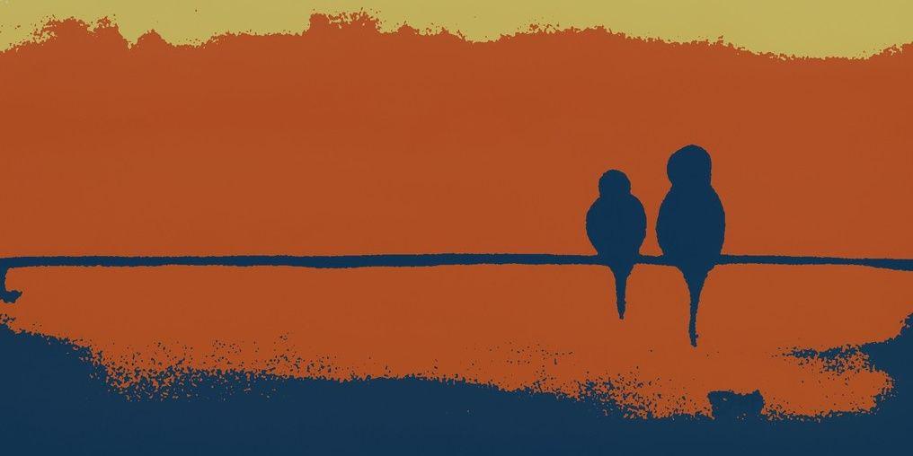 adrianzetti's profile banner image