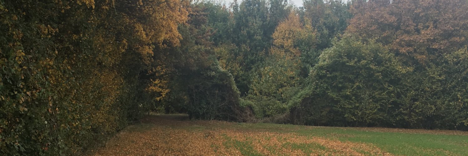Emma C banner