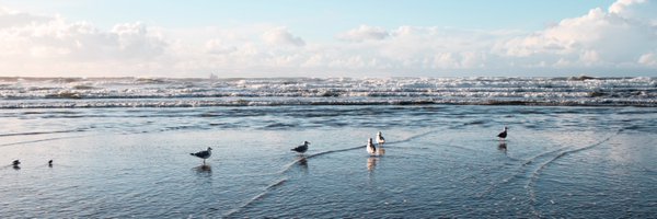 joycesmi Profile Banner