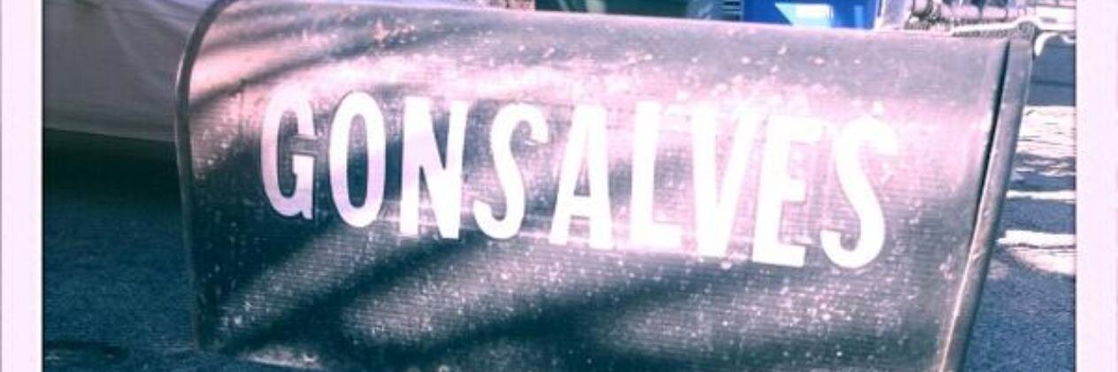 R_Gonsalves's profile banner image