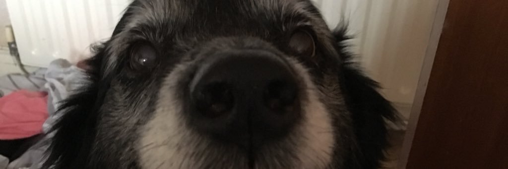 greenastra's profile banner image
