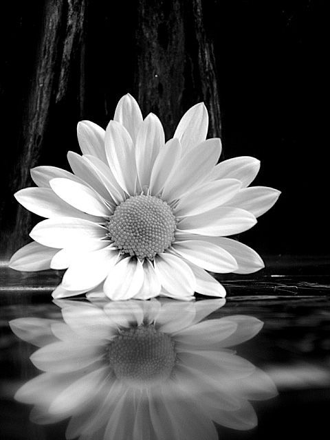 _beaFcosta's profile banner image