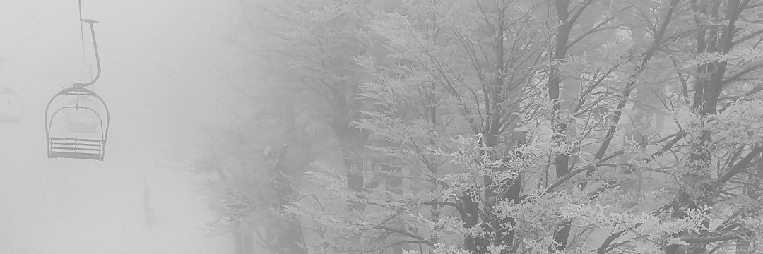joacogui's profile banner image